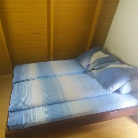 Bungalovi U Omladinskom Kampu *